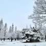 눈 내린 겨울 풍경 안산 철쭉동산의 설경