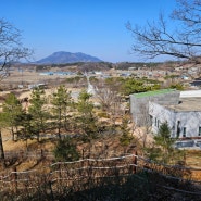 충남 산책하기 좋은 "예산황새공원"