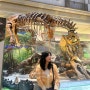 [미국/워싱턴] 박물관이 살아있다! 국립 자연사 박물관 National Museum of Natural History 후기!