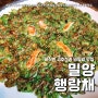 밀양 행랑채 흑미 비빔밥 수제비 후기 (feat. 내돈내산 바싹한 고추전 )