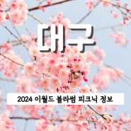 2024 대구 벚꽃 이월드 블라썸 피크닉 기본정보 포토존 자유입장권 가격 불꽃놀이 공유