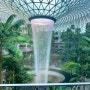 싱가포르 공항 쥬얼창이 폭포 구경 기념품 선물 볼거리