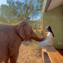 🇹🇭 태국 치앙마이 1박 7만원대 코끼리 모닝콜해주는 타완 리버 사이드 (가는 꿀팁, 여자 혼자, 디럭스 방갈로, Tawan Riverside Elephant Resort