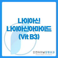 나이아신, 나이아신아마이드(Vit B3) - 인천터미널정형외과, 인천정형외과