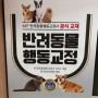 [한국애견연맹 반려동물행동교정사] 자격증에 대한 모든 정보 알려드립니다!!