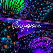 싱가포르 가든스바이더베이 슈퍼트리쇼 시간, 명당, 야경 정보
