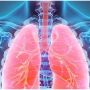 건강한 폐를 위한 5가지 효과적인 습관과 호흡기 기관지에 좋은 영양제 추천