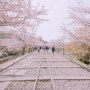 일본(日本) 교토(京都) 벚꽃(さくら)여행 2일차 2.게아게인크라인(蹴上インクライン)