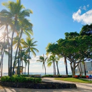하와이 여행정보! 날씨, 옷차림, 와이키키 맛집(오코노미야끼 치보 레스토랑) 추천