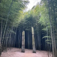 [기장 아홉산숲]아홉산숲, 기장구경