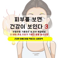 개기름 많은 피부관리법