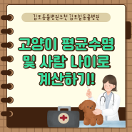 김포동물병원추천 집고양이 길고양이 평균수명 및 사람 나이 계산 방법