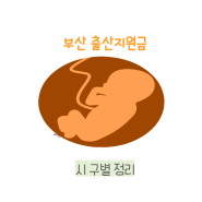 2024 부산 출산지원금 구별 혜택 총정리