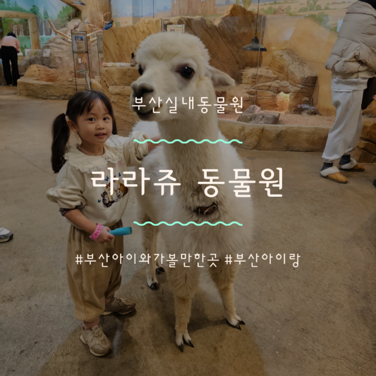 부산 실내동물원 명지아이랑 라라쥬 동물원