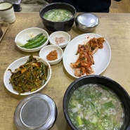[부산] 부산역 깔끔한 호불호 없는 맛집 본전돼지국밥