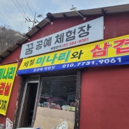 양산 원동 미나리 삼겹살 축제 맛집 추천