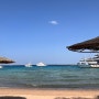 [이집트 15일차] 후루가다 유료 해변 오렌비 비치에서 놀고 7시간 걸리는 고버스타고 카이로 가기