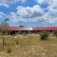 탄자니아 법당 및 보리수아동센터 건립 세번째 이야기