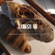 [제주 외도] 제주 빵지순례 추천맛집, 시월의 밀 [2024.02]