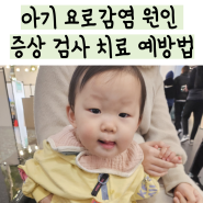 요로감염 원인 증상 소변 패치 검사 치료 재발 예방법