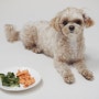 강아지 다이어트 간식 당근 애견간식