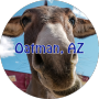 2023 가울 여행-오트만 (Oatman, AZ)