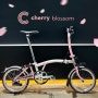 [파라마운트] 24 브롬톤 아시아 한정 벚꽃 에디션 Cherry Blossom(체리 블라썸) 입고 및 출고 !