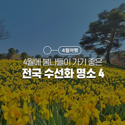 양지암공원, 부산 오륙도 해맞이공원, 구례 지리산치즈랜드...