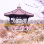 전라남도 광양 구례 매화 산수유꽃 축제 2024년도 기대해 봄