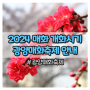 2024 매화 개화시기, 광양매화축제 소개