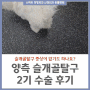 노견 슬개골 탈구 수술 후기! 증상없는 사례 / 서울 정형외과 전문 동물병원
