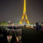 파리 여행/피크닉 하기 좋은 에펠탑 야경명소 트로카데로 광장(Trocadero Gardens)&에펠탑뷰 레스토랑