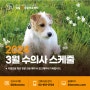 잠실ON '2024년 3월 수의사 근무시간표 안내'_잠실송파동물병원, 잠실ON동물의료센터