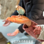 서울근교 나들이 가평 가볼만한 곳 아침고요가족동물원