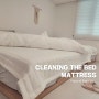 봄맞이 매트리스 청소하는 방법슬립퍼 메모리폼 침대 후기