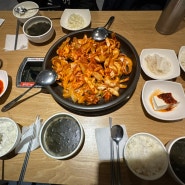 역삼 맛집 :: 점심 갑오징어볶음 '네모오징어'