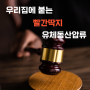 집에 빨간딱지 : 유체동산 압류 및 경매 대응법