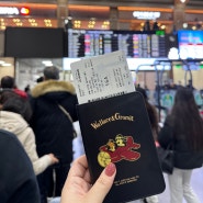 해외 여행 귀여운 월레스와 그로밋 여권케이스(지갑) 내돈내산 추천 후기