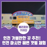 겨울 인천 바다 여행, 인천 가볼만한 곳 추천! 인천 마시안 해변 갯벌 체험
