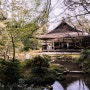 일본(日本) 교토(京都) 벚꽃(さくら)여행 2일차 4.난젠인(南禅院)