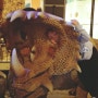 움직이는 공룡장난감 가득한 키즈카페 추천 용인 다이노베이 기흥 실내놀이터