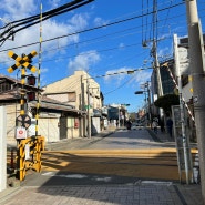 [7박8일 도쿄] DAY6. 아사쿠사에서 에노시마, 가마쿠라 다녀오기
