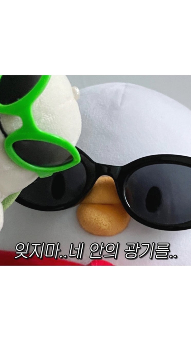 잊지마.. 네 안의 광기를..💚 힙한 오리 베베더오리 짤 배경화면 이미지 밈 모음 ️ : 네이버 블로그