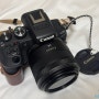 캐논 카메라 R10 + RF24mm F1.8 MACRO IS STM 크롭바디 렌즈 추천
