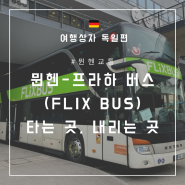 [여행상자 뮌헨] 뮌헨에서 프라하까지 버스타고(FLIXBUS) 이동하기 (버스 타는 곳, 내리는 곳, 버스 내부)