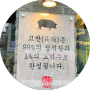 육즙 팡팡 안양평촌 고반식당 평촌학원가 맛집 인정