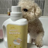 강아지 입욕제와 샴푸 브랜드 크르릉마켓 제품으로 쨈이 목욕시키기