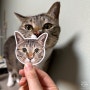[반려동물 스티커] 어나더메모리에서 내 고양이 굿즈 스티커 만들기, 내돈내산 대만족 찐후기