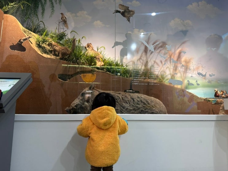 아기와 나들이 가기 좋은 곳<담양:호남 기후변화체험관, 개구리...