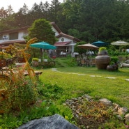 [남한산성,르방]한적함과 야외정원, 고양이와 불멍이 있는 정원카페